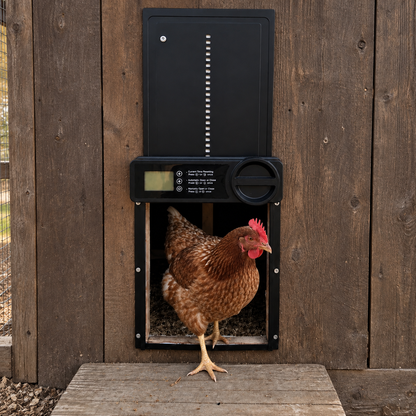 Smart Automatic Chicken Coop Door